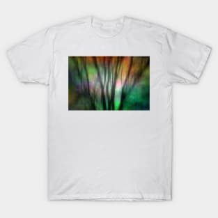 Abstract Winter Trees T-Shirt